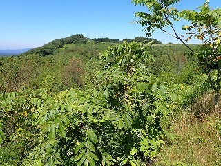 R0808050012