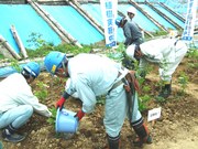 試験植樹