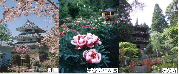 城山公園、長谷ぼたん園、法光寺