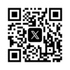 公式X