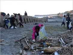 海岸清掃ボランティア