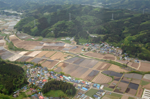 整備済みの水田