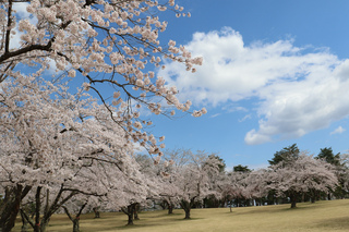 小渡平公園