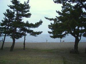 合浦公園