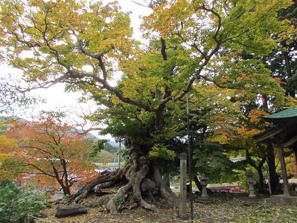 赤根沢の赤岩