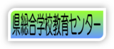 総合学校教育センター