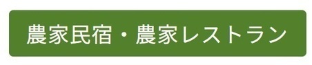 体験活動