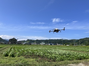 ドローンによる大豆ほ場への薬剤散布