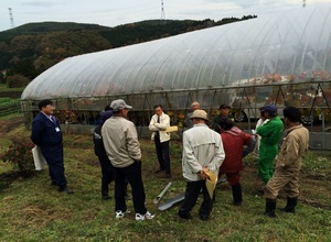 生育状況の検討