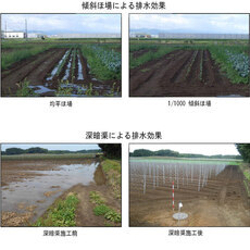 排水改良の手引き