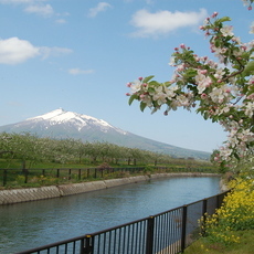 あおもりの疏水