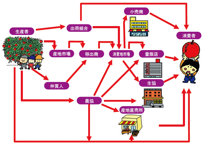 図：生産者から家庭に届くまで