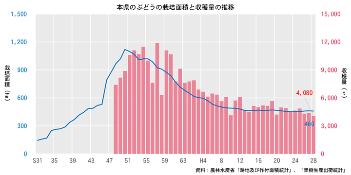 ぶどうの栽培面積と収穫量の推移（青森県）