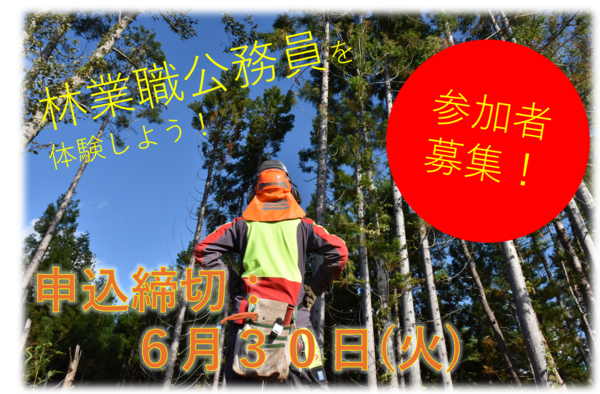 林業職インターンシップ参加者募集中！