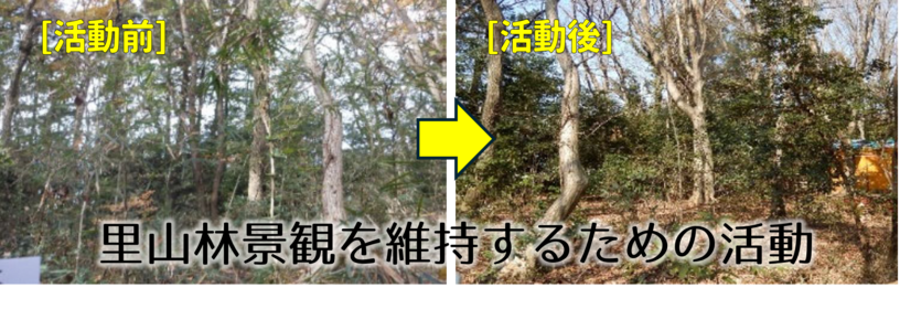 里山林景観を維持するための活動を支援します。