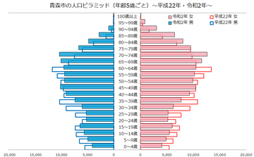 青森市人口ピラミッド