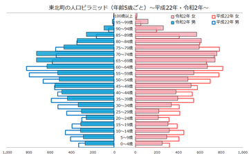東北町人口ピラミッド