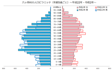 六ケ所村人口ピラミッド