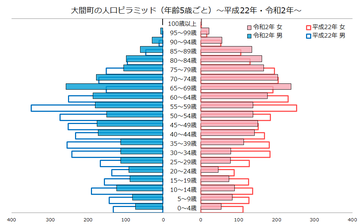 大間町人口ピラミッド