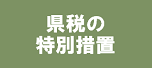 県税の特別措置